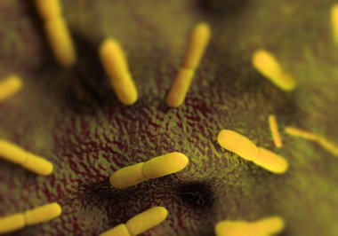 Yersinia pestis bakterisi, sanat eseri