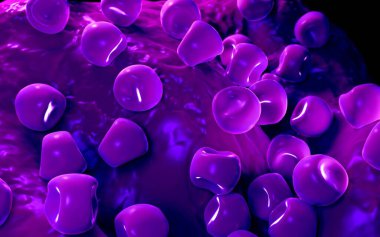  Bilinen Anter ve polen