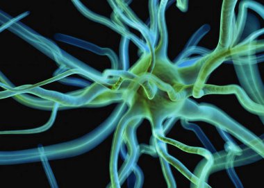 Sinir sisteminin bir kısmını oluşturan nöron veya sinir hücreleri elektriksel ve kimyasal sinyallerle bilgi iletir ve işler..