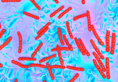 Streptococcus pneumoniae, bakteri sanat