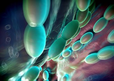 3D görüntüleme - asetobacter bakteri