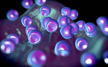 Aconite anter ve polen - 3D görüntüleme