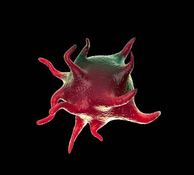 3D görüntüleme - etkinleştirilmiş trombositler