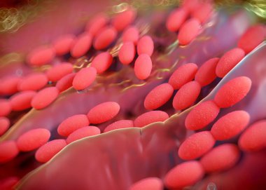 3D görüntüleme - asetobacter bakteri