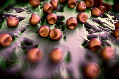 Aconite anter ve polen, bir akonit (Aconitum) çiçeğinden gelen polen tanecikleri. 