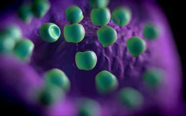 Aconite anter ve polen - 3D görüntüleme