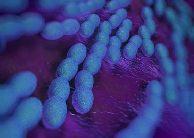 3D görüntüleme - asetobacter bakteri 