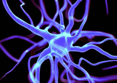 Sinir sisteminin bir kısmını oluşturan nöron veya sinir hücreleri elektriksel ve kimyasal sinyallerle bilgi iletir ve işler..