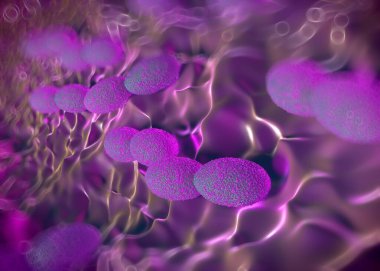 3D görüntüleme - asetobacter bakteri