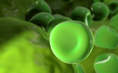  Bilinen Anter ve polen