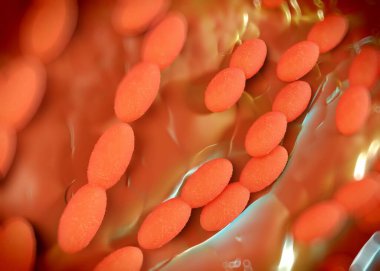 3D görüntüleme - asetobacter bakteri