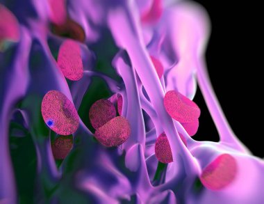 3D işleme - yosun sporları