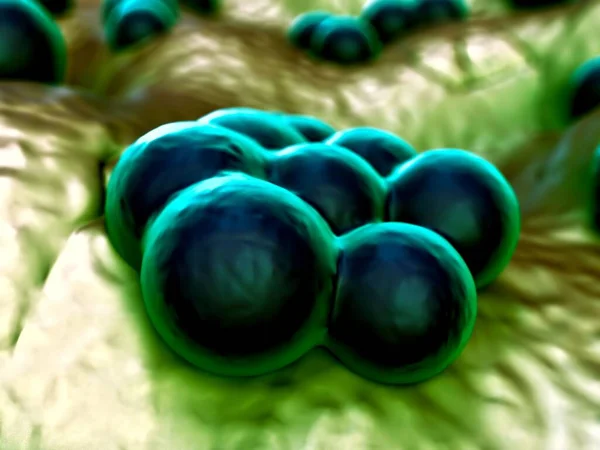 Illustration Des Bactéries Sarm Des Bactéries Super Bug — Photo