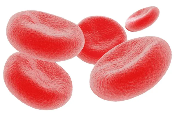 Illustration Red Blood Cells High Detail — Stock Photo, Image