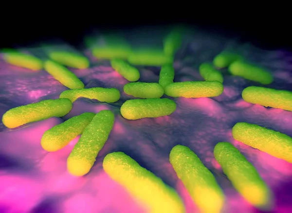 Ilustração Das Células Bacterianas — Fotografia de Stock