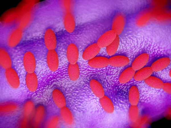 렌더링 Acetobacter 박테리아 — 스톡 사진