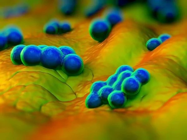 Süperböcek Veya Staphylococcus Aureus Mrsa Bakterisi — Stok fotoğraf