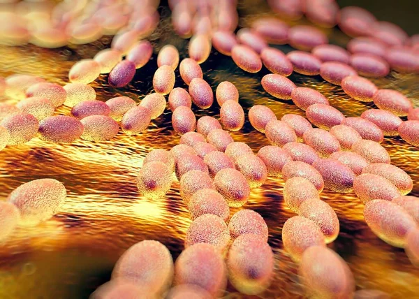 Renderowanie Bakterie Acetobakteryjne — Zdjęcie stockowe