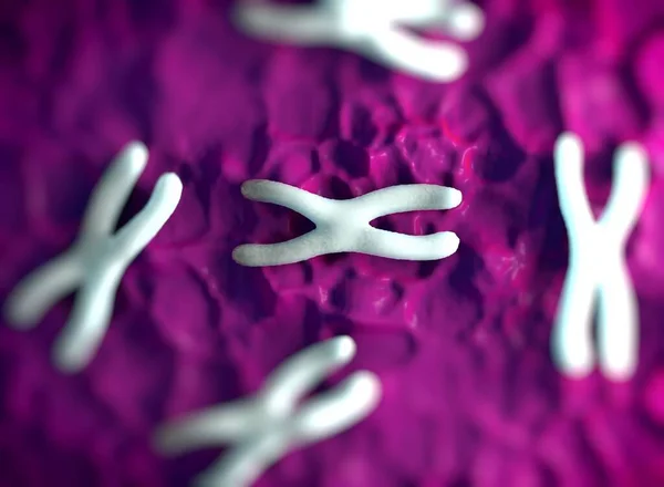 Chromosomes are a packaged form of the genetic material DNA  and form during cell replication