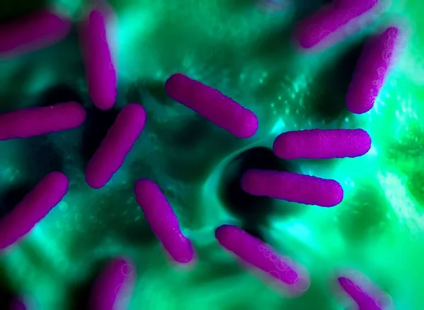 細菌細胞のイラスト — ストック写真
