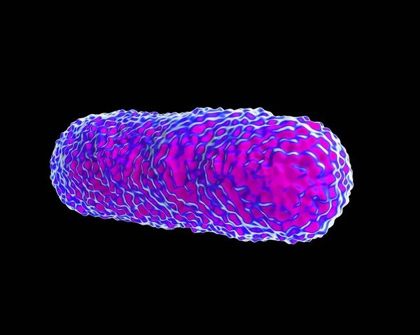 Detailní Záběr Bakterií Legionella Pneumophila — Stock fotografie