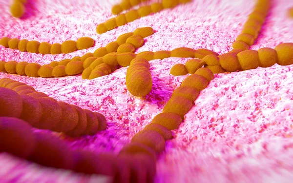 Kompozycja Bakterii Streptococcus Pneumoniae — Zdjęcie stockowe