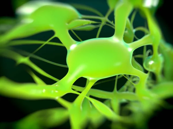 Пуркинские Нервные Клетки Мозжечка Мозга — стоковое фото