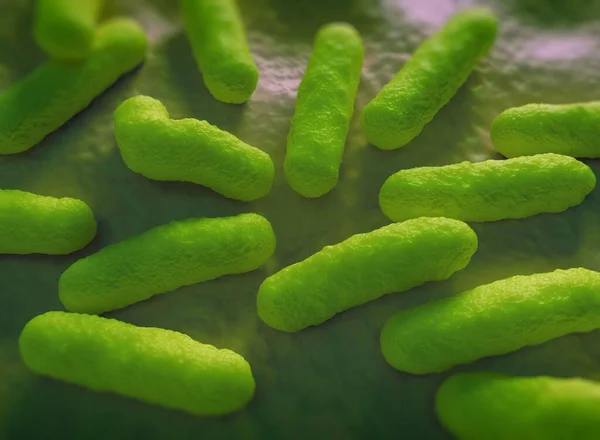 Salmonella bacteria can cause food poisoning when they are eaten in contaminated food