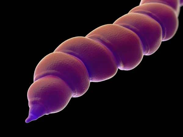 Closeup Helicobacter Pylori Bacterium — Stock Photo, Image