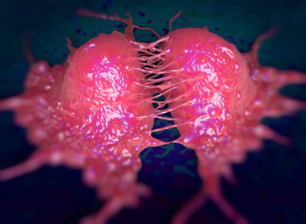 Zbliżenie Podziału Komórek Nowotworowych — Zdjęcie stockowe