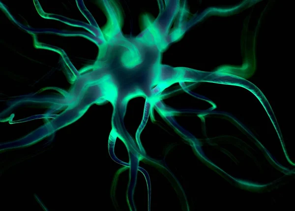 Neuron Nerve Cells Which Form Part Nervous System — Stock Photo, Image