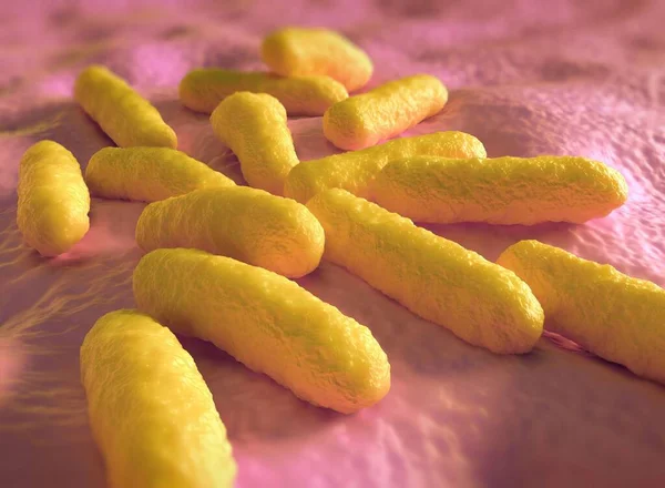 Bakterie Salmonelli Mogą Powodować Zatrucie Pokarmowe Podczas Ich Spożywania Skażonej — Zdjęcie stockowe