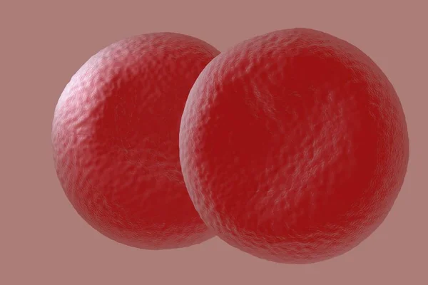 Abbildung Der Roten Blutkörperchen Detail — Stockfoto