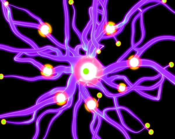 Begreppet Nervceller Och Nervsystemet — Stockfoto