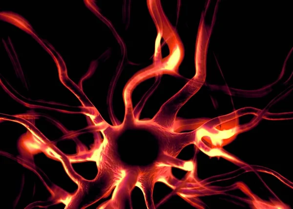 Neurônios Células Nervosas Que Fazem Parte Sistema Nervoso — Fotografia de Stock