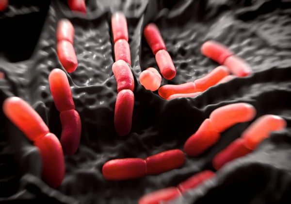 3d illüstrasyon - Lactobacillus Bulgaricus Bakterisi