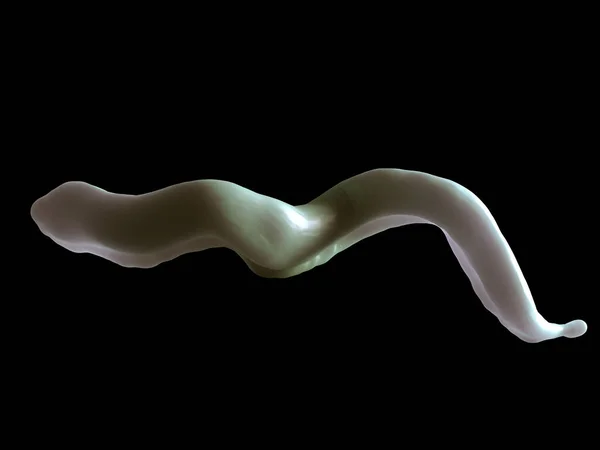 Trypanosoma Brucei Parpete Спящая Болезнь Parpete — стоковое фото