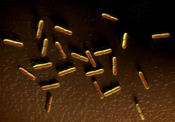 Coli Bakterier Närbild — Stockfoto