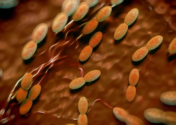 Renderowanie Bakterie Acetobakteryjne — Zdjęcie stockowe