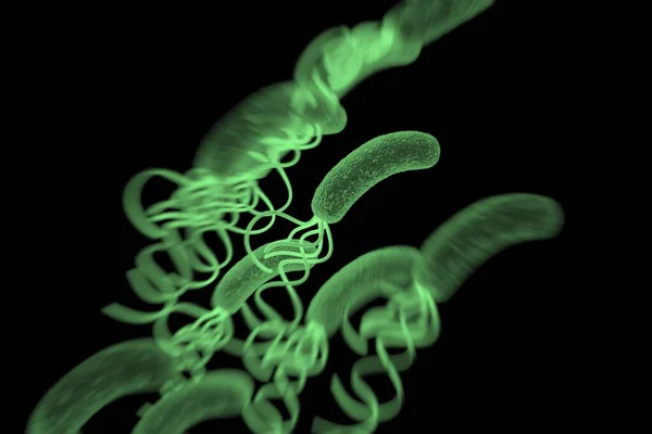 Closeup Helicobacter Pylori Bacterium — 스톡 사진