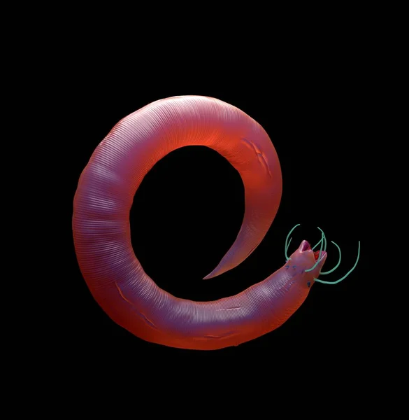 Rendering Gusano Nematodo —  Fotos de Stock