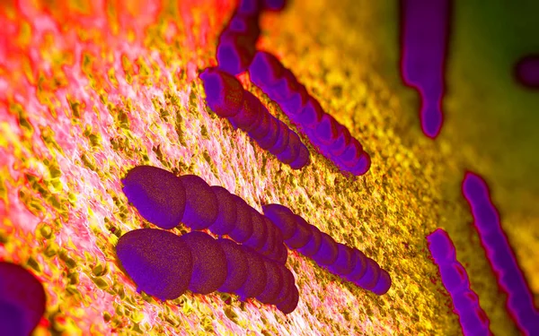 Streptococcus Pneumoniae Oeuvre Bactéries — Photo