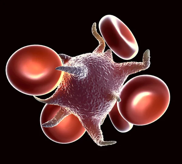 Piastrina Attivata Con Cellule Del Sangue — Foto Stock