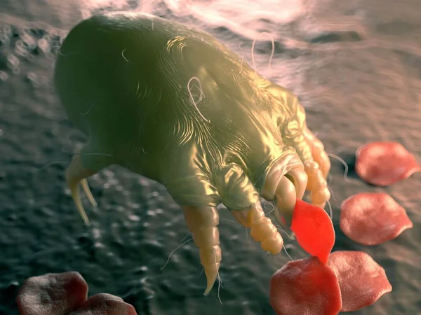 Rendering Dust Mite Eating Dead Cells — Stock Photo, Image