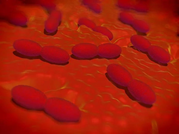 Rendering Βακτήρια Acetobacter — Φωτογραφία Αρχείου