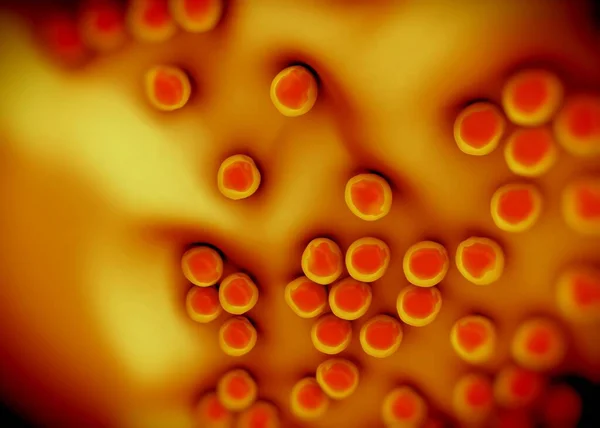Superbug Staphylococcus Aureus Mrsa 박테리아 — 스톡 사진