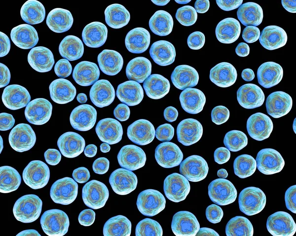 Staphylococcus Aureus Resistente Alla Meticillina Mrsa Superbug Batterio Responsabile Diverse — Foto Stock