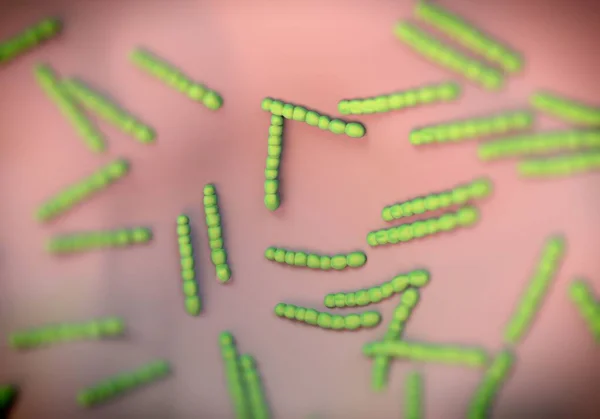 Стрептококова Пневмонія Мистецтво Бактерій — стокове фото