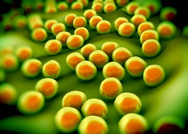 Bactérie Superbug Staphylococcus Aureus Sarm — Photo