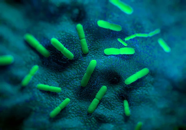 Бактерии Yinia Pestis Произведения Искусства — стоковое фото